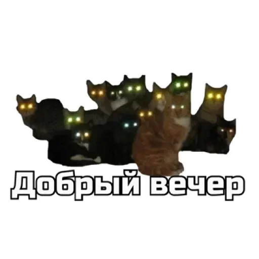 Эмодзи СпутниКот by ЧТП