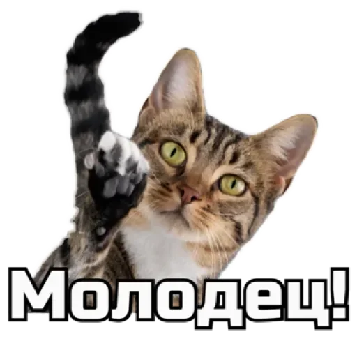 Эмодзи СпутниКот by ЧТП