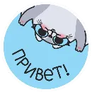 Эмодзи Белка Сара