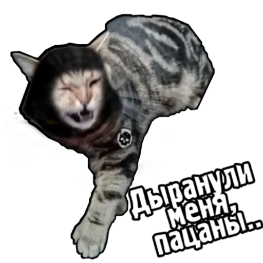 Эмодзи S.T.A.L.K.E.R. Universe 4