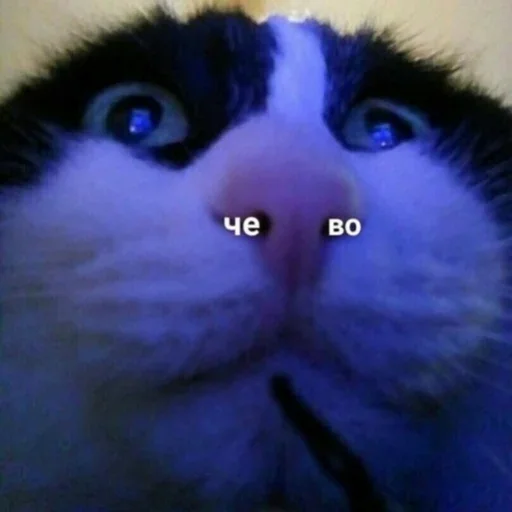 Эмодзи Memes