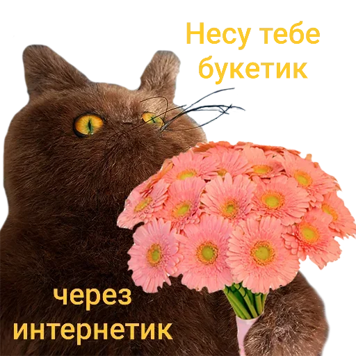 Эмодзи Memes