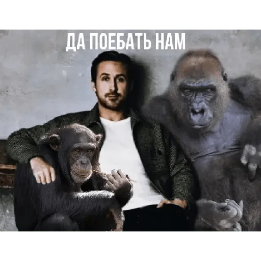 Эмодзи Райан Поебослинг :: PavloBozh