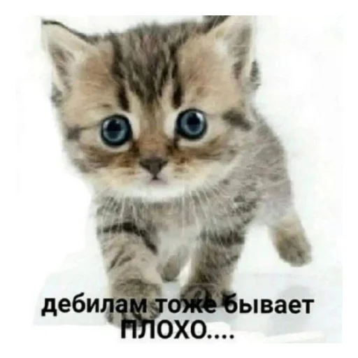 Эмодзи Стикеры от Герыча
