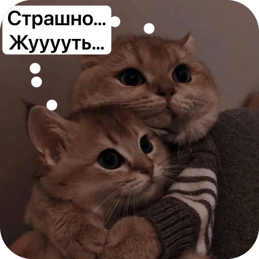 Эмодзи Cute