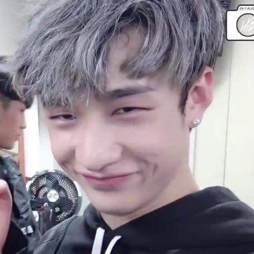 Эмодзи Stray Kids