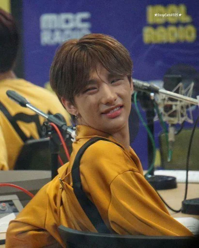 Эмодзи Stray Kids