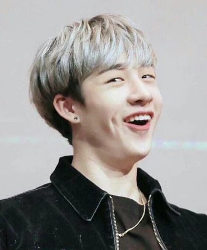 Эмодзи Stray Kids