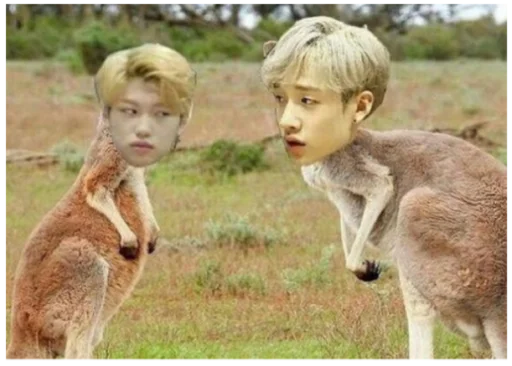 ?