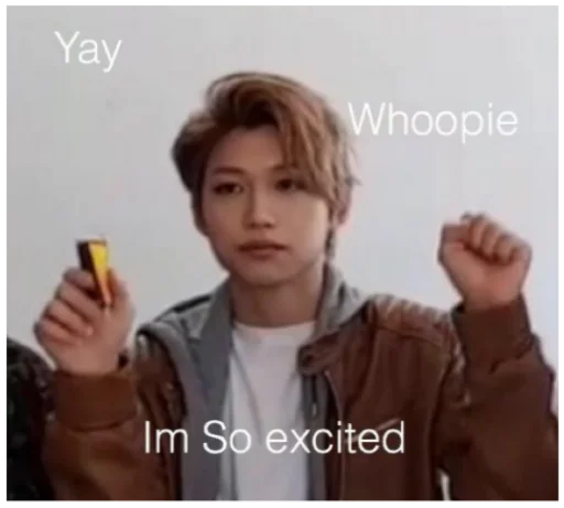 Эмодзи Stray Kids