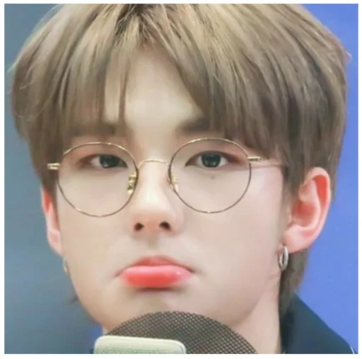 Эмодзи Stray Kids