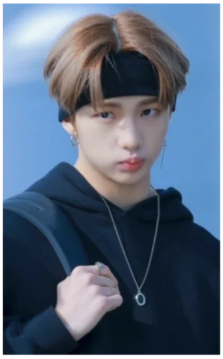 Эмодзи Stray Kids