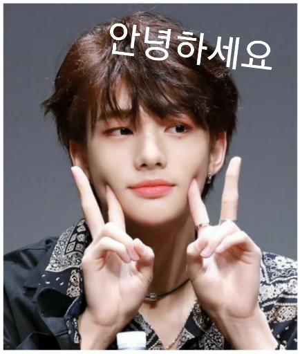 Эмодзи Stray Kids