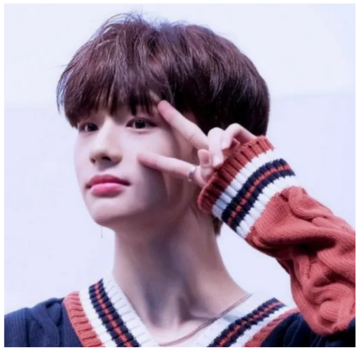 Эмодзи Stray Kids