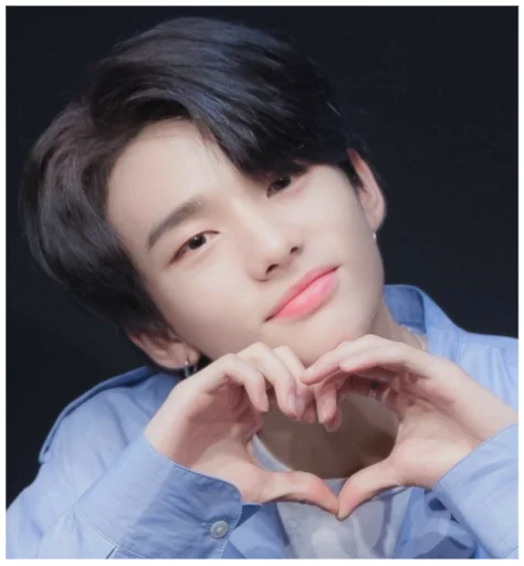 Эмодзи Stray Kids