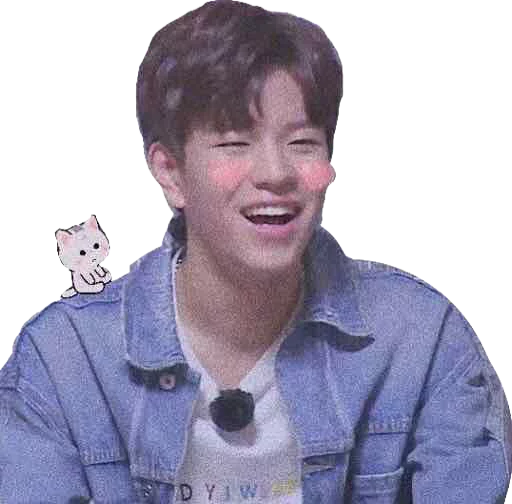Эмодзи straykids©char