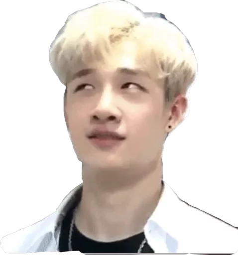 Эмодзи straykids©char