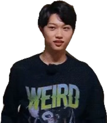 Эмодзи straykids©char