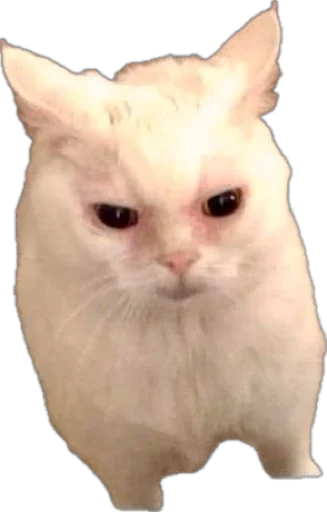 🫤