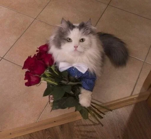 Эмодзи Sukruma