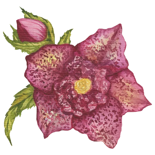 Эмодзи Flowers