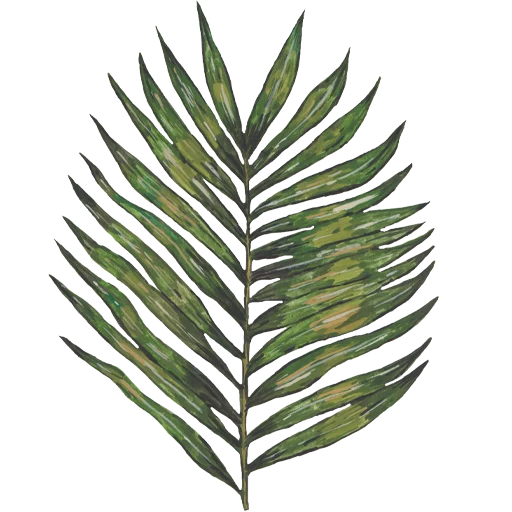 Эмодзи Flowers