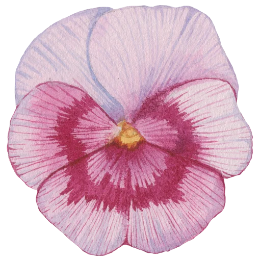 Эмодзи Flowers