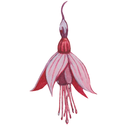 Эмодзи Flowers