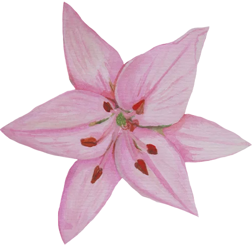 Эмодзи Flowers