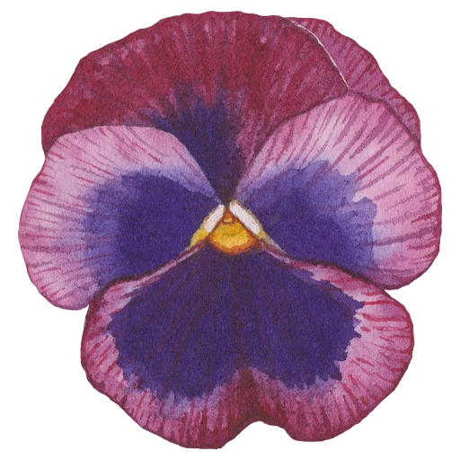 Эмодзи Flowers