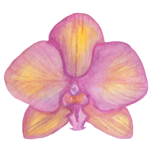 🌸