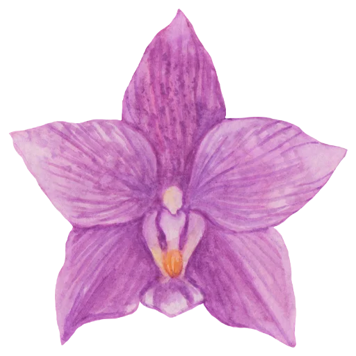 Эмодзи Flowers