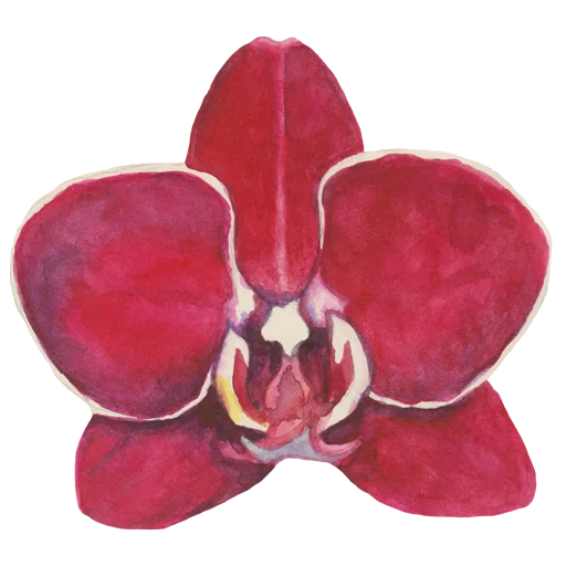 Эмодзи Flowers