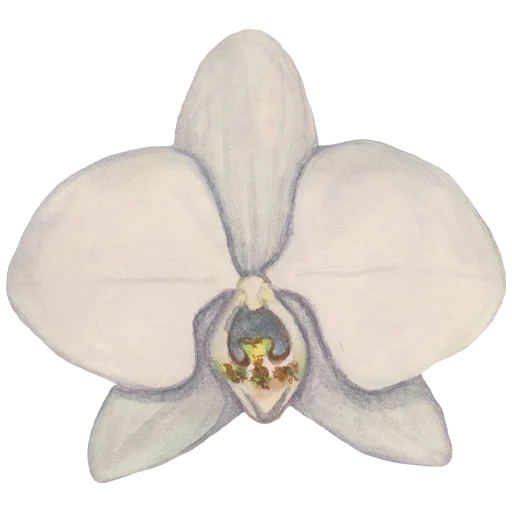 Эмодзи Flowers