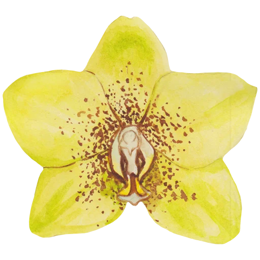 Эмодзи Flowers