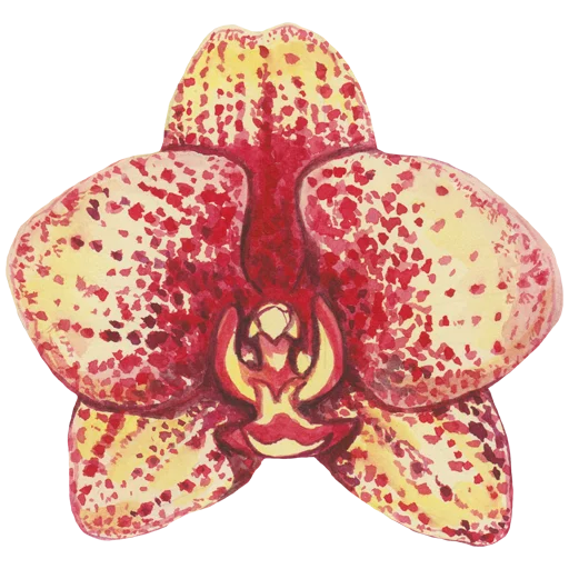 Эмодзи Flowers
