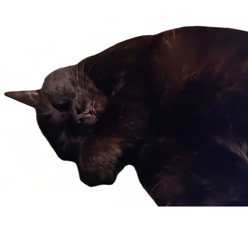 ?