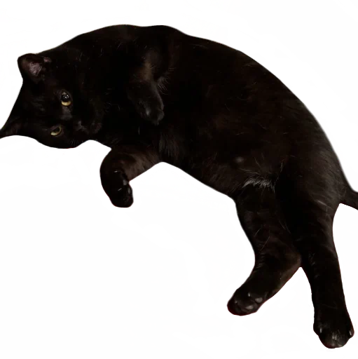 Эмодзи Сладкая булочка