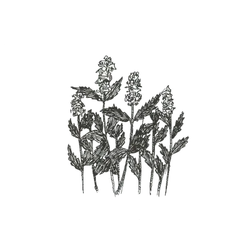 Эмодзи Sweet Dreams