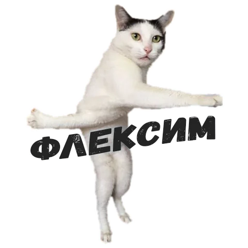 Эмодзи Пушистые