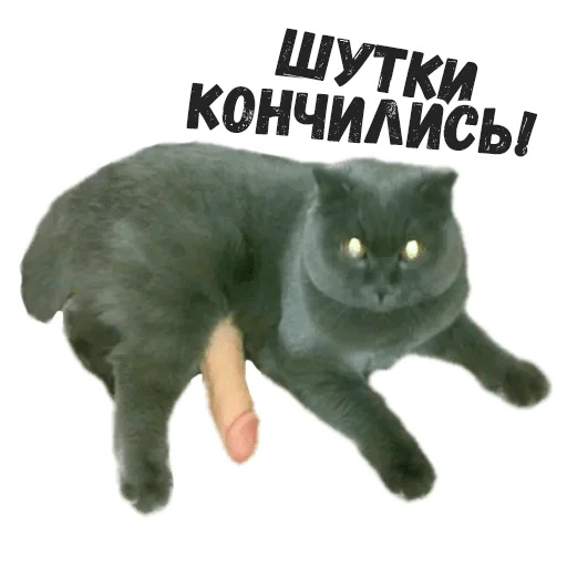 Эмодзи Пушистые