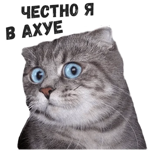 Эмодзи Пушистые