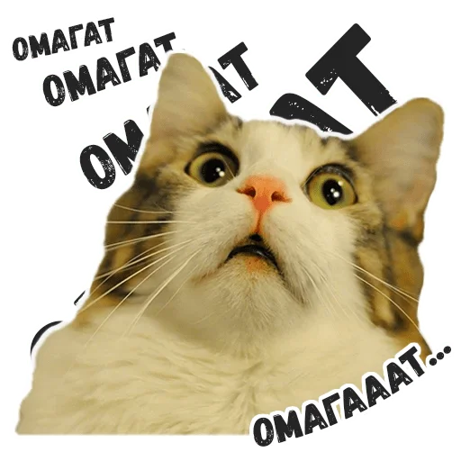 Эмодзи Пушистые