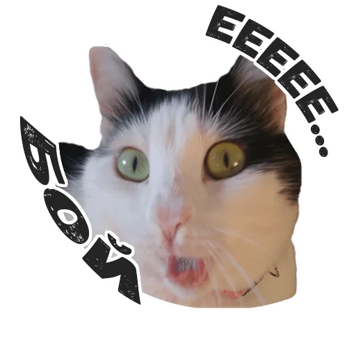 Эмодзи Пушистые