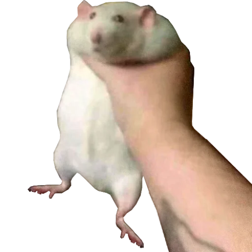?