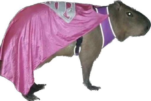 Эмодзи Capybara