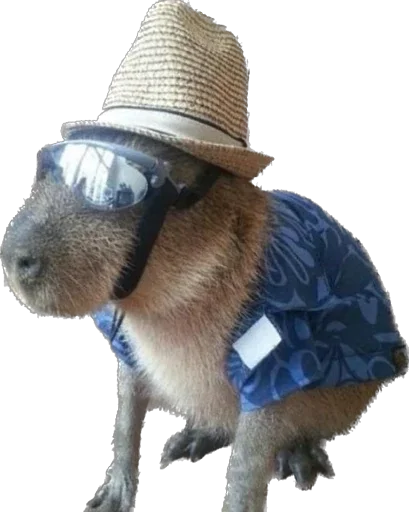 Эмодзи Capybara
