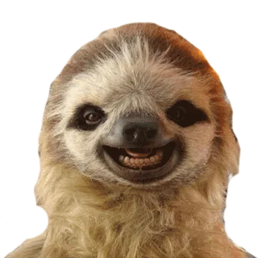 Эмодзи Taxidermy