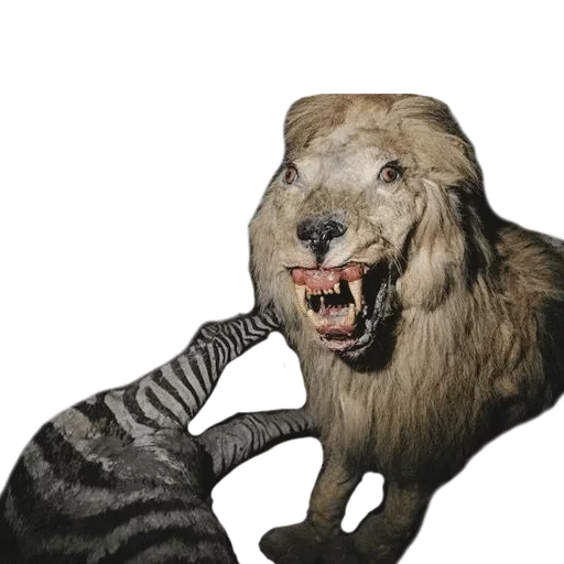 Эмодзи Taxidermy
