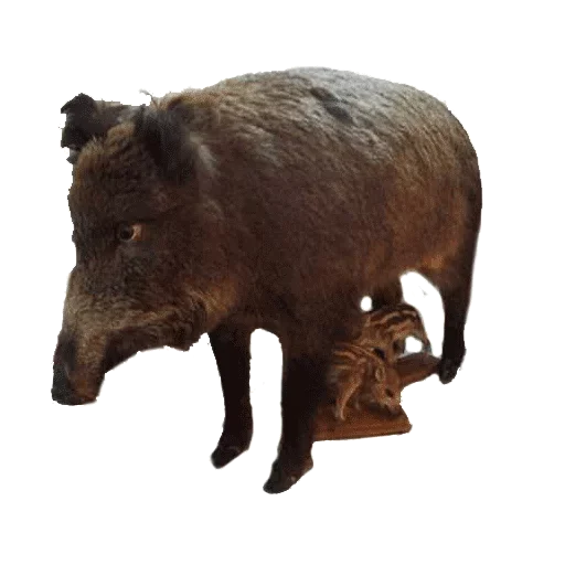 Эмодзи Taxidermy